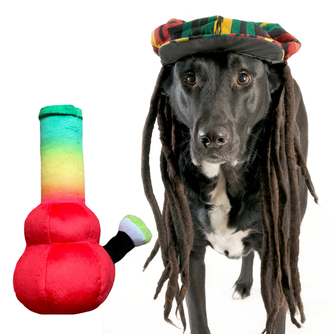 Bo Da Bong 420 Dog Toy
