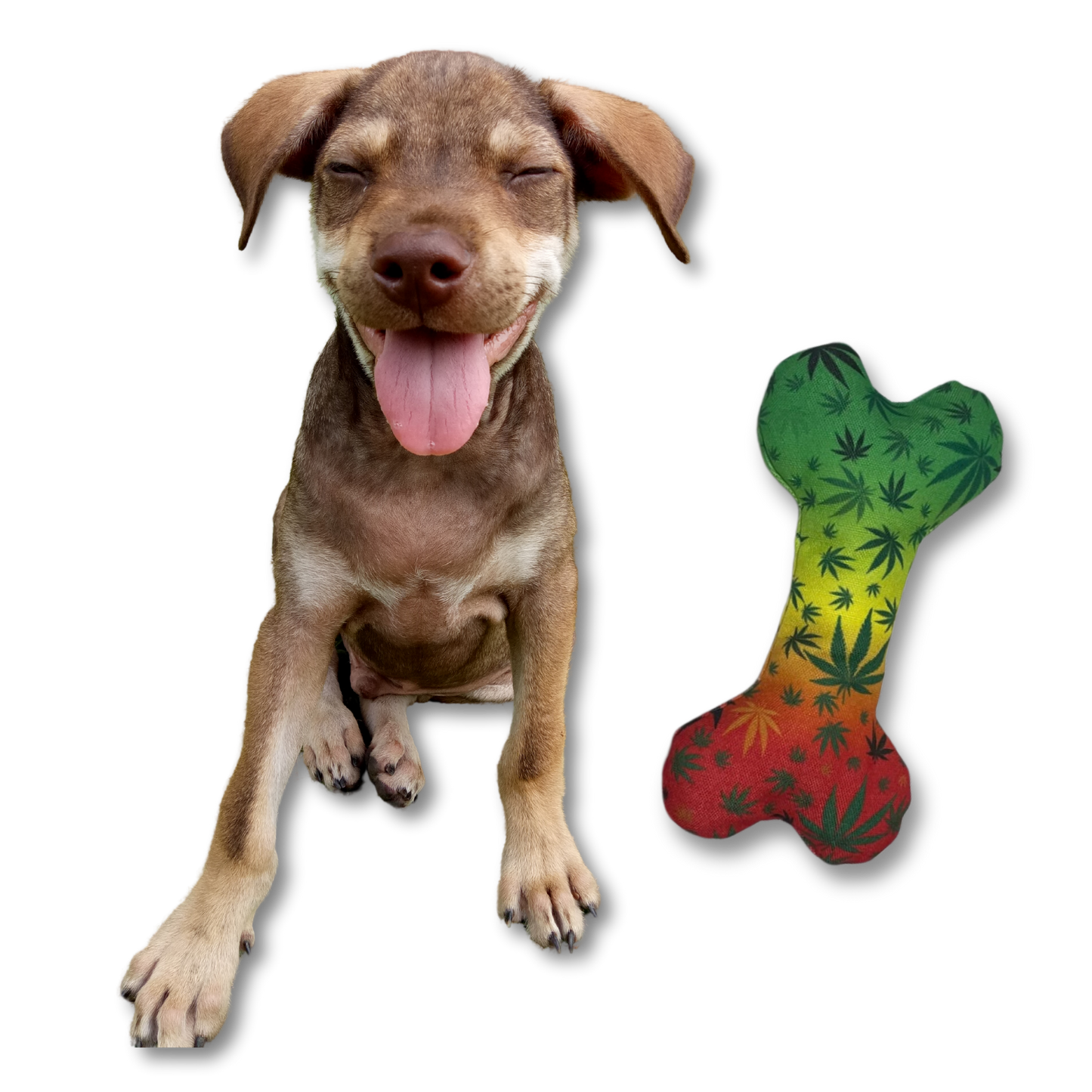 Stoned to Da Bone 420 Dog Toy