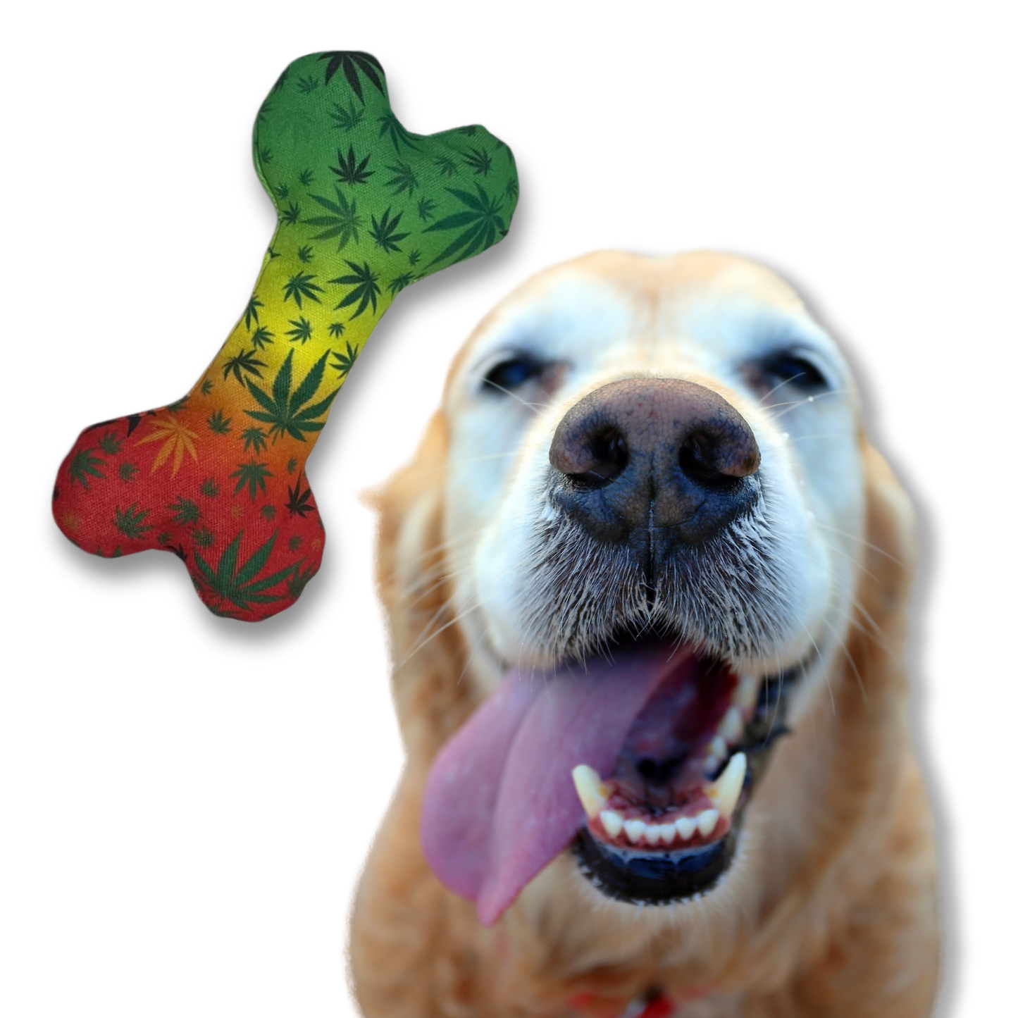 Stoned to Da Bone 420 Dog Toy