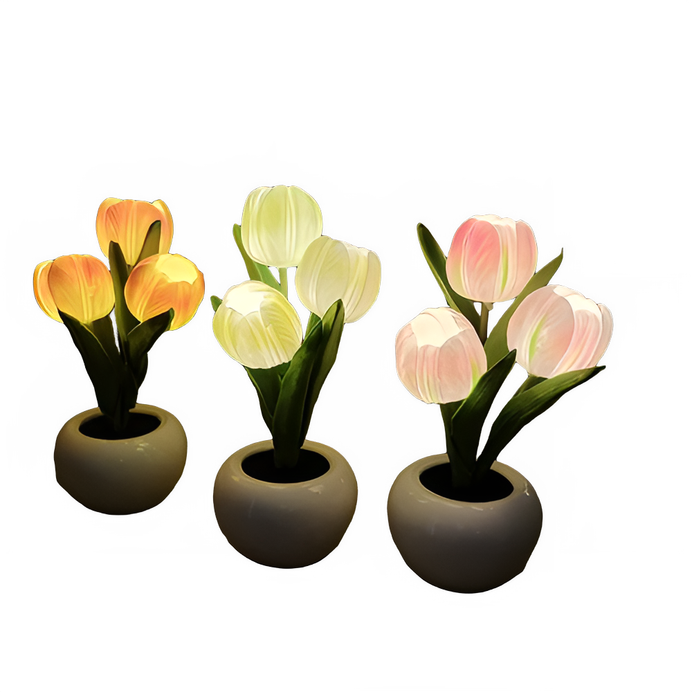 af41a300-d1df-4ae4-9c23-38e1bf715fb0